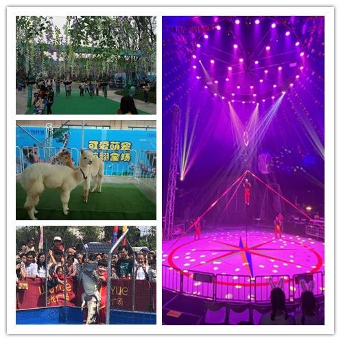 寧夏回族自治區當地租賃馬戲團租賃海洋展暖場方案