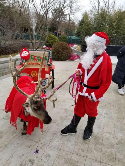 畢節(jié)哪里有出租馬戲團表演馬戲團出租的