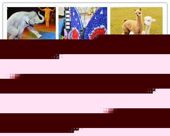 2021崇州小型馬戲團(tuán)演出出租廠家價(jià)格