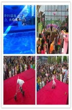 大寧縣馬戲團表演出租本地