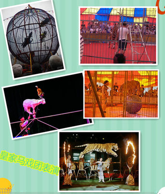 上海市鯊魚(yú)展水母展魚(yú)缸展租賃全國(guó)巡展