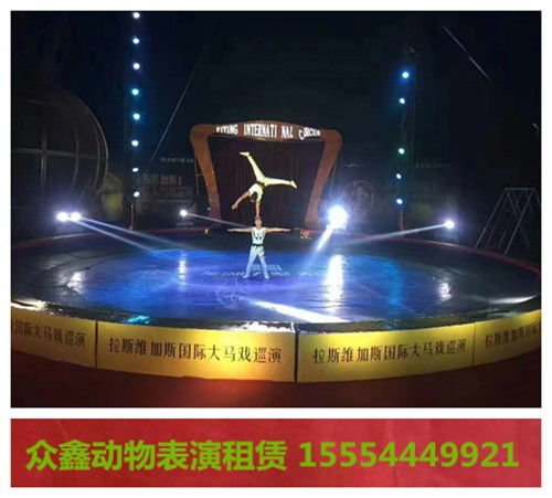 綏化市馬戲表演出租當(dāng)?shù)氐馁Y源