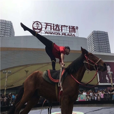 什邡市租賃馬戲團表演的價格-鸚鵡表演租賃