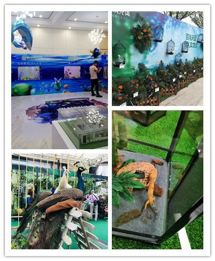 陜西咸陽市哪里有動物出租