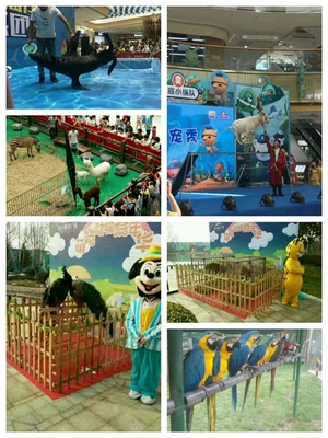 馬戲團(tuán)動(dòng)物表演出租