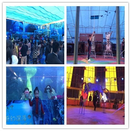 宜昌市哪里有萌寵展對(duì)外出租