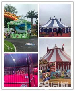 當地高端大馬戲團表演動物租賃