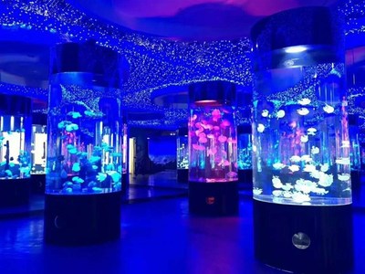 勝凱|動物出租|馬戲團(tuán)表演出租|魚缸展|環(huán)球飛車|馴鹿出