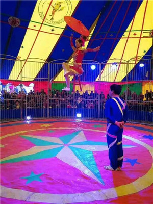 地產(chǎn)開盤暖場大馬戲團(tuán)表演出租咨詢預(yù)定