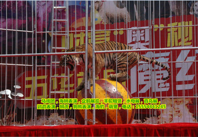 河北省三河市海洋生物租賃萌寵馬戲團(tuán)表演