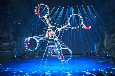 鶴崗租賃各種動(dòng)物的公司