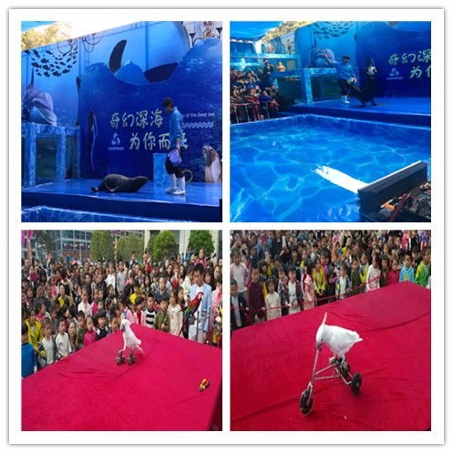 遼寧蓋州市馬戲團(tuán)表演出租當(dāng)?shù)? />
</span>
<span id=