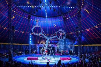 馬戲團出租,環球飛車,夢幻飛輪,動物表演,雜技表演,雜技演出