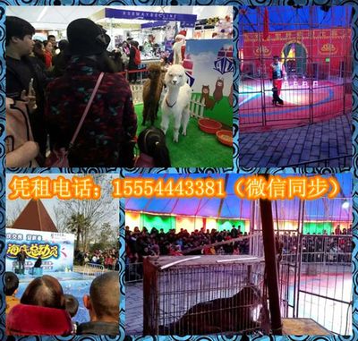 環(huán)球飛車表演與冰雕展出租賃服務在湖北宜昌遠安及山東地區(qū)的應用與發(fā)展