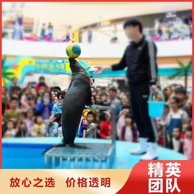 寧德市霞浦縣轄區(qū)內雜耍演出與動物展覽服務介紹